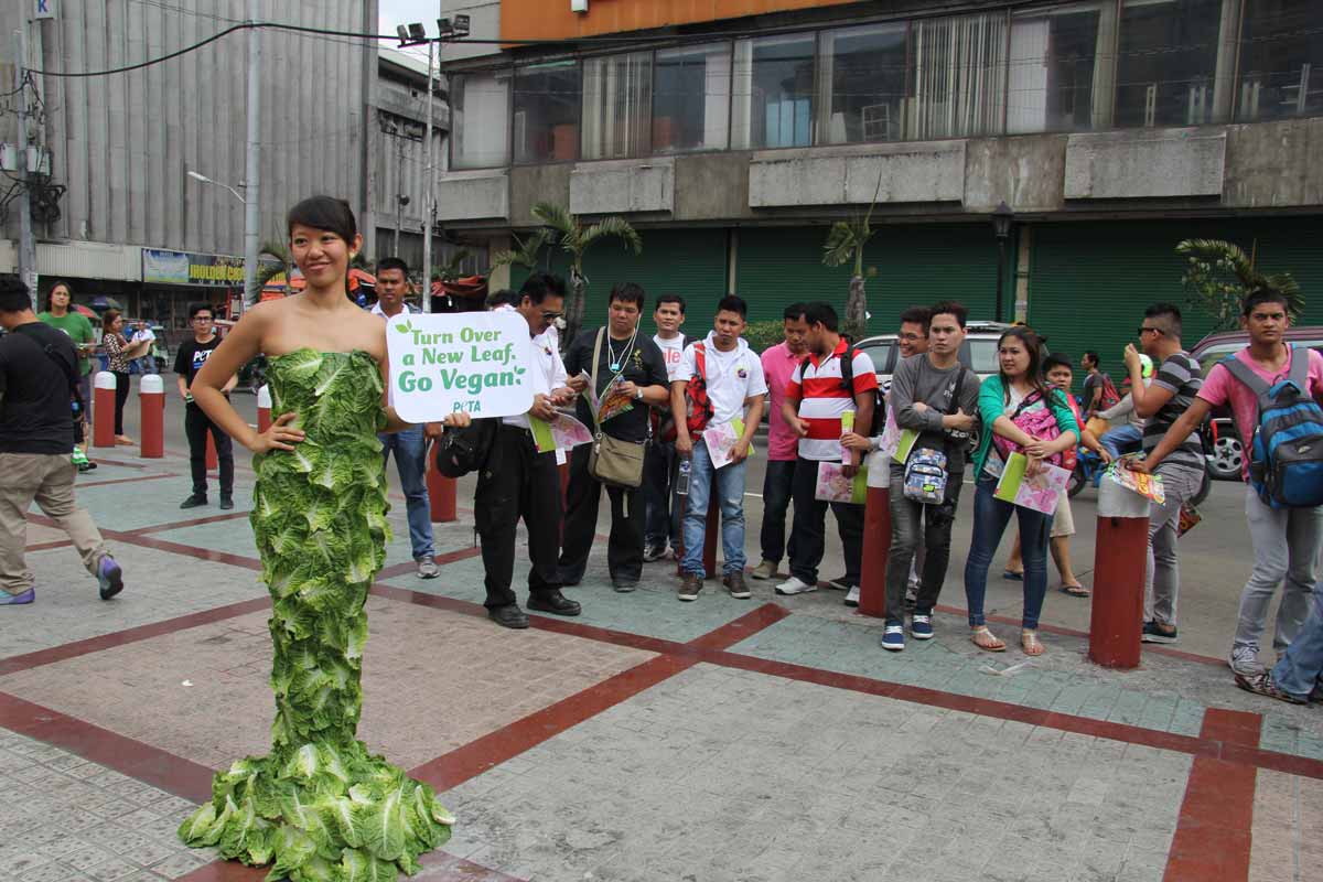 https://headlines.peta.org/wp-content/uploads/2016/11/lettuce-lady-manilla.jpg