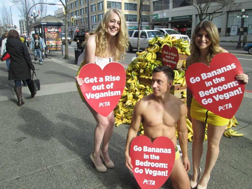 https://headlines.peta.org/wp-content/uploads/2016/12/banana-boys-british-columbia-1024x768.jpg