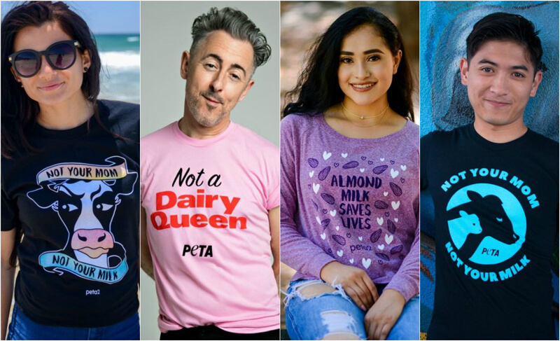 anti-dairy-industry merch, peta revolt campaign