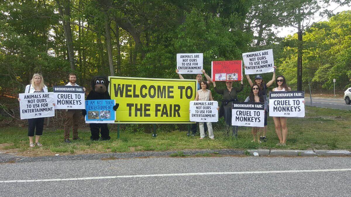 peta county fair animal protest