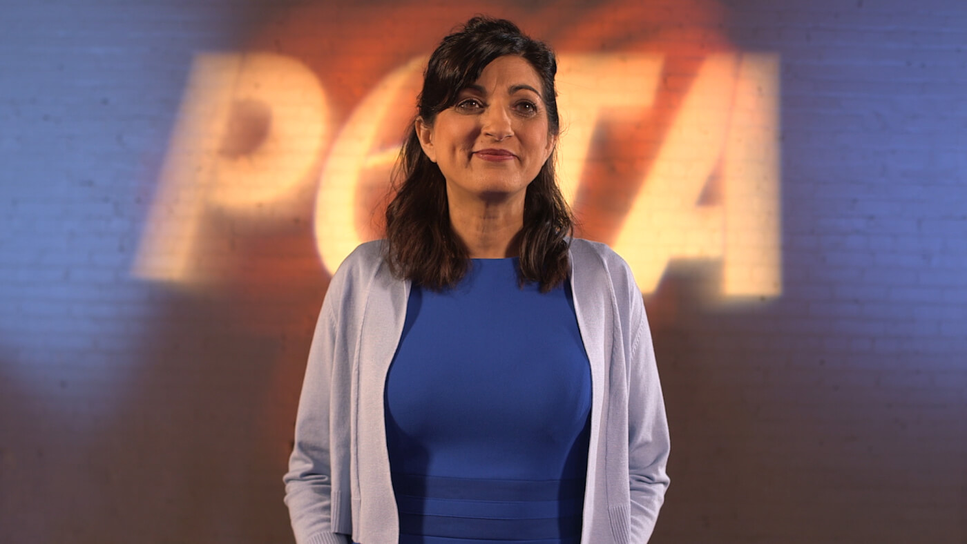 PETA Reveals Everybody's Got a Story (VIDEO)