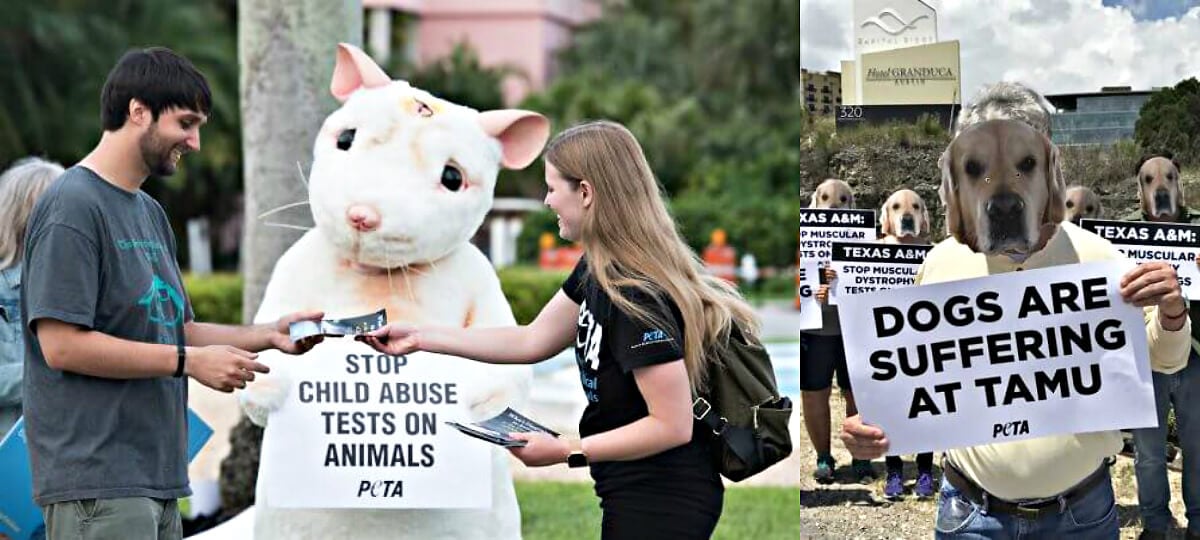 Urge These Colleges to End Cruel Experiments on Animals | PETA