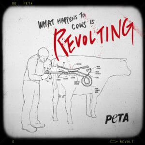 PETA Revolt! anti-dairy social images 