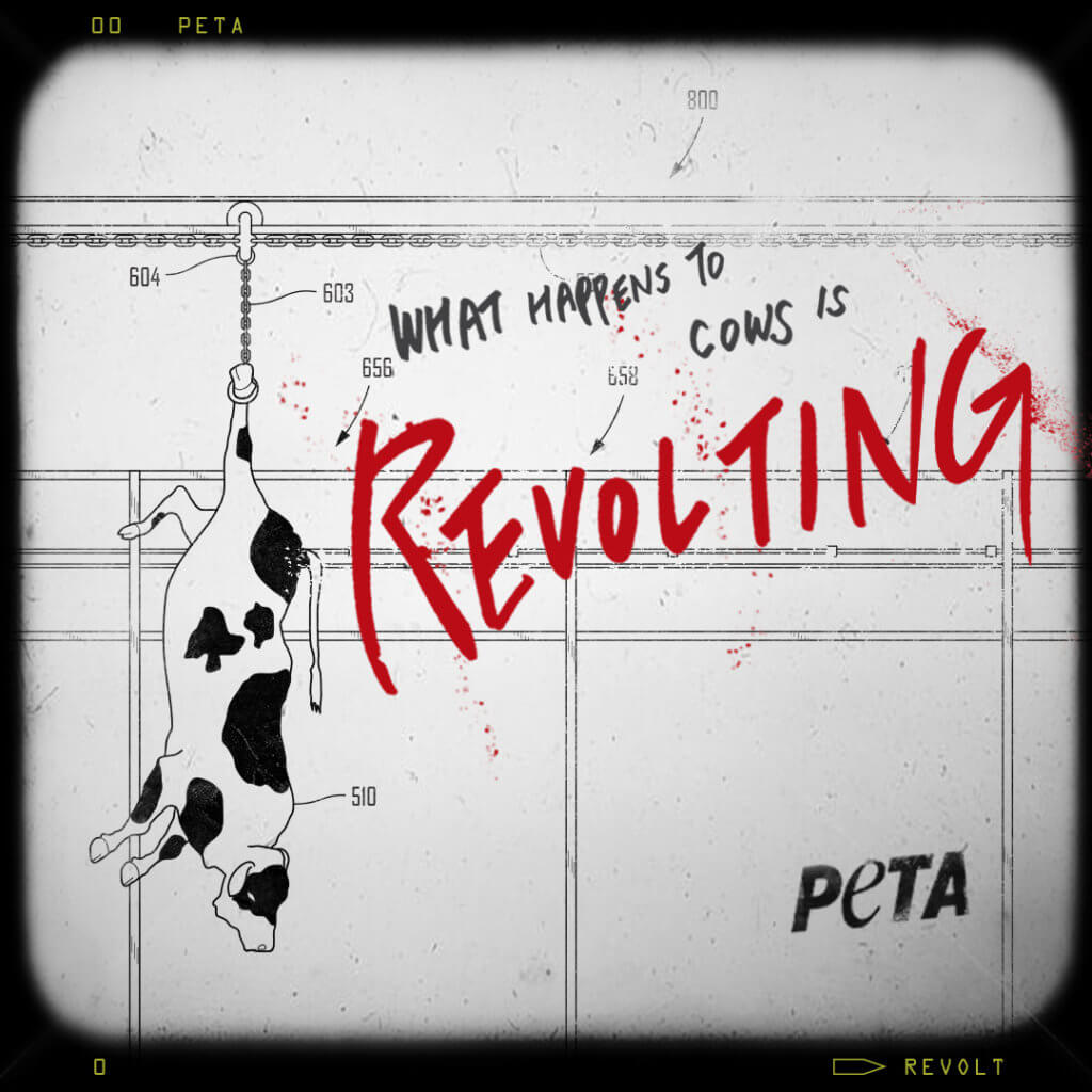 PETA Revolt! anti-dairy social images