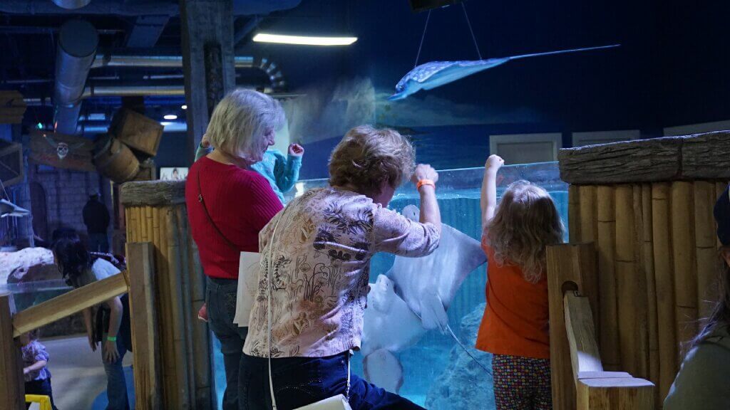 stay away from SeaQuest aquariums here's why