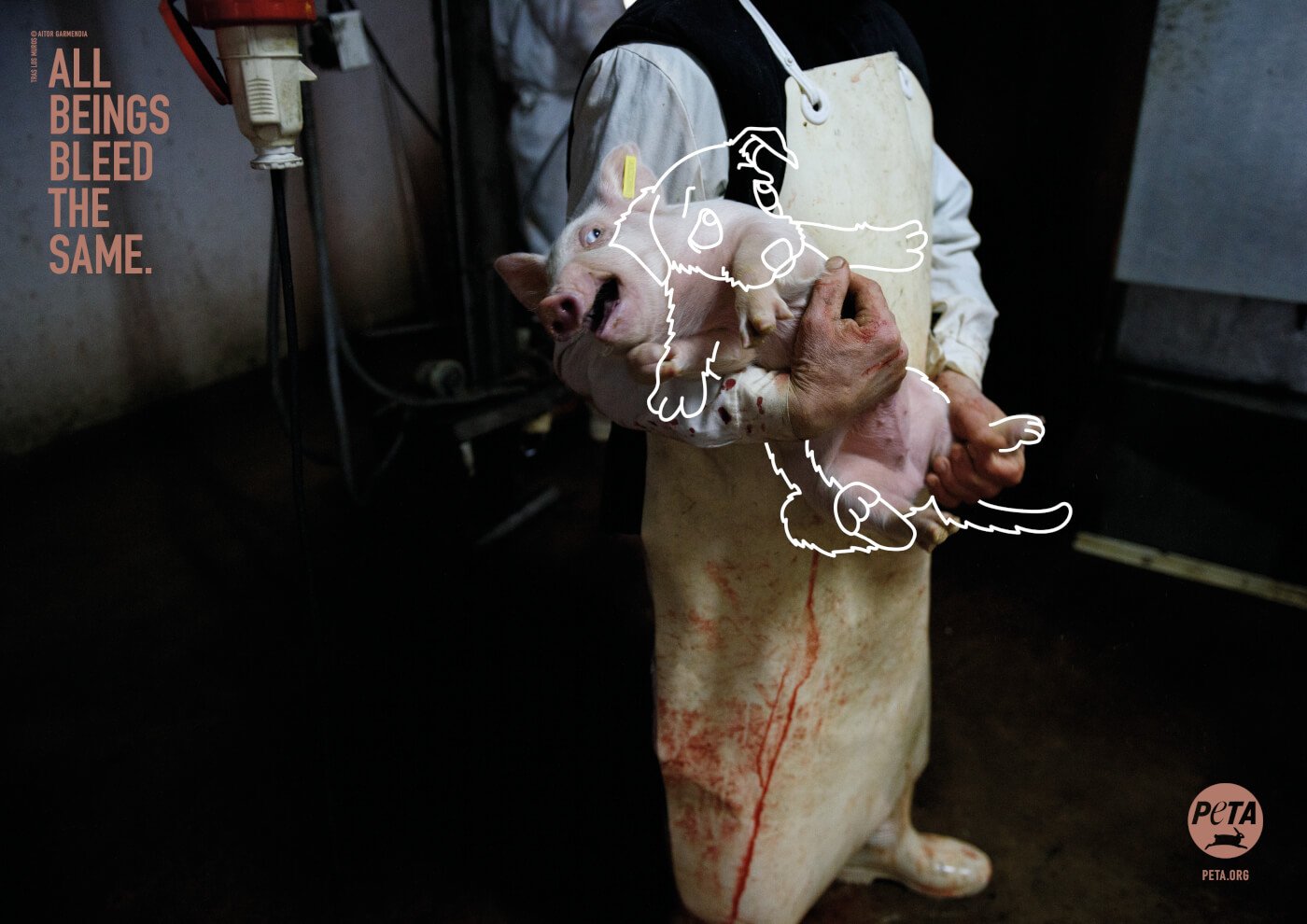 https://headlines.peta.org/wp-content/uploads/2019/07/VEG-All-beings-bleed-the-same-pig-hands-held-COI.jpg