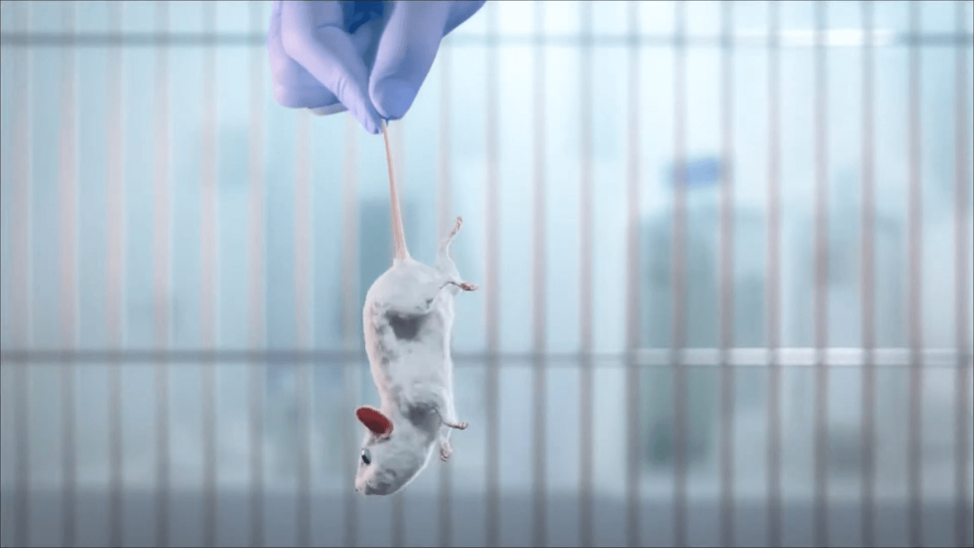 A person wearing a blue glove holding a white mouse with a cage in the background.
