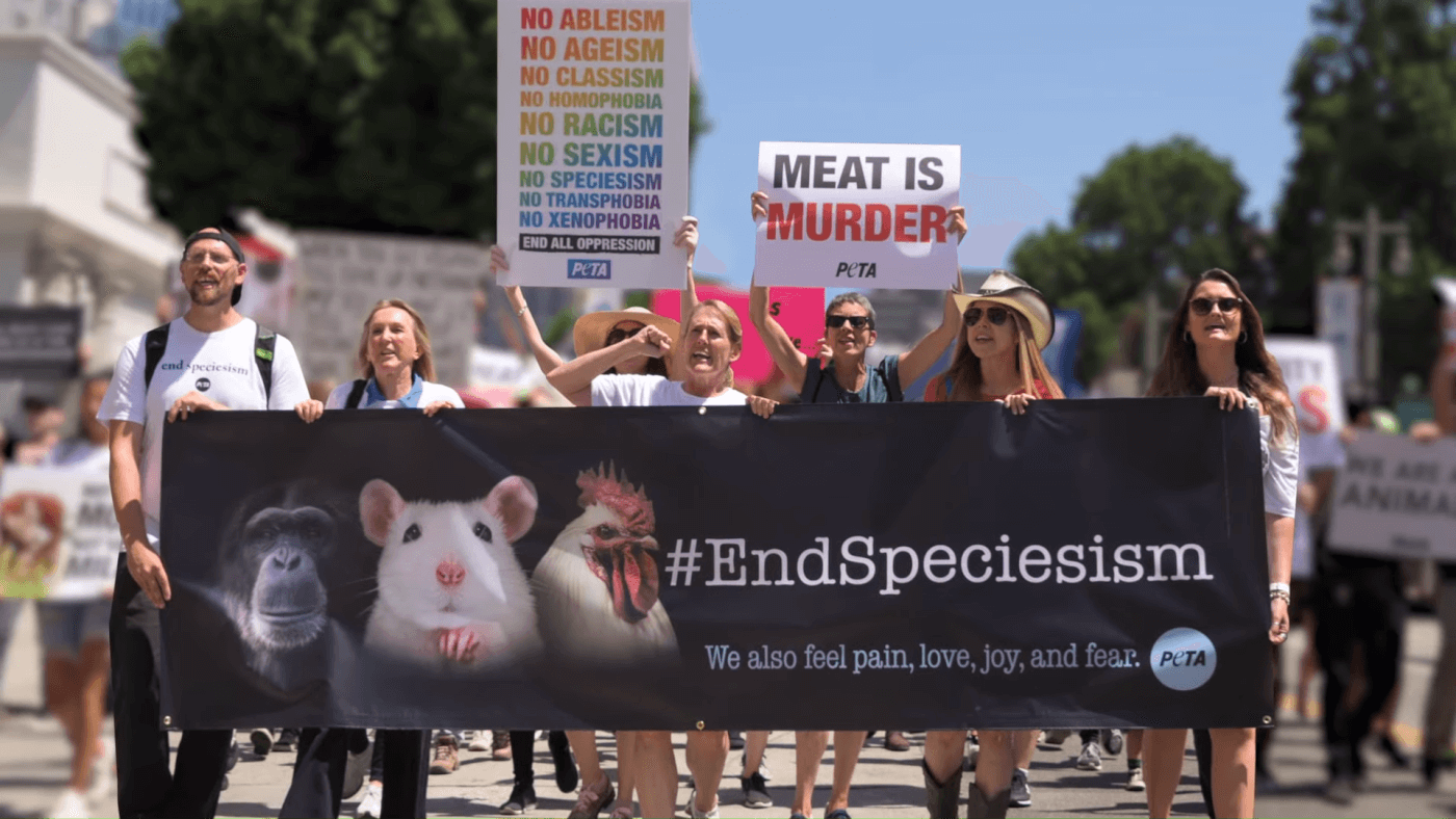 VIDEO PETA's 2019 Animal Rights Victories PETA