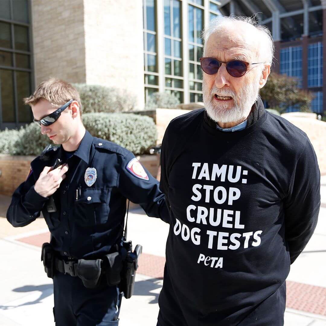 https://headlines.peta.org/wp-content/uploads/2019/12/peta-best-photos-2019-james-cromwell-arrested-texas-am-university-dog-lab-protest.jpg