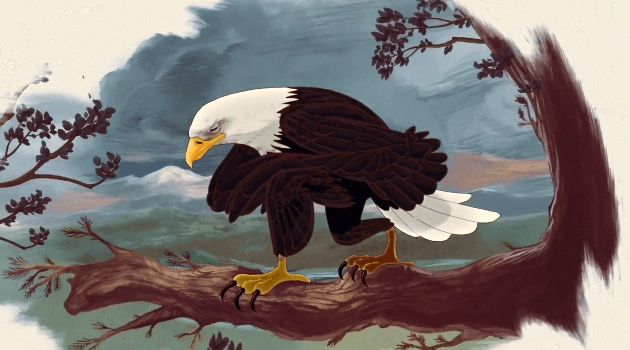 Banned Super Bowl Ad Eagle