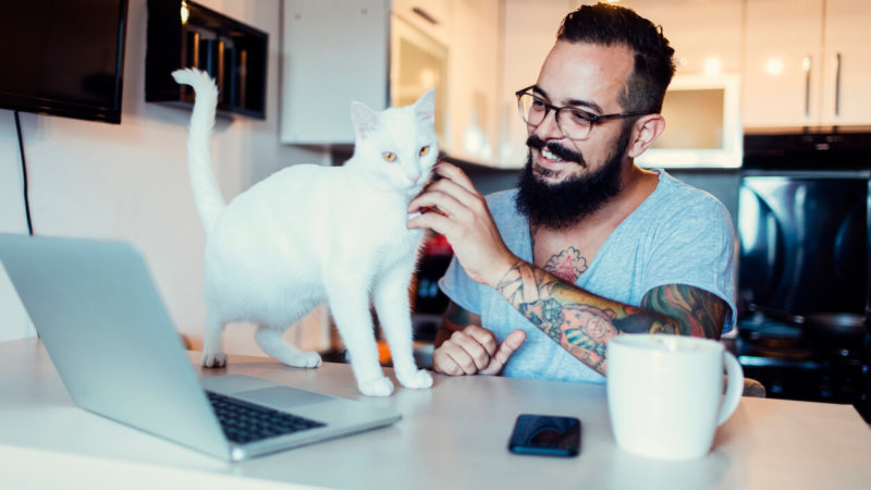 during covid-19 pandemic help animals online with these peta action alerts