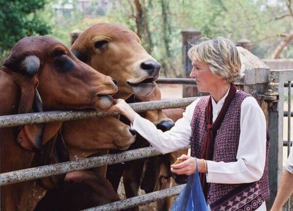 peta president ingrid newkirk quote