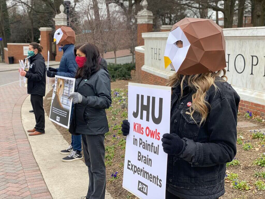 https://headlines.peta.org/wp-content/uploads/2021/01/Johns-Hopkins-University-Owl-Experiments-Protest-1024x768.jpeg