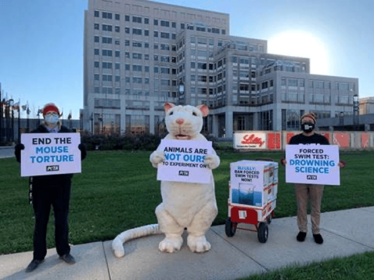 https://headlines.peta.org/wp-content/uploads/2021/02/VIV-Eli-Lilly-HQ-Demo-Protest-Indianapolis.png