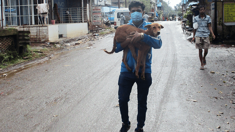 An Animal Rahat rescue worker carrying a dog to be sterilized.