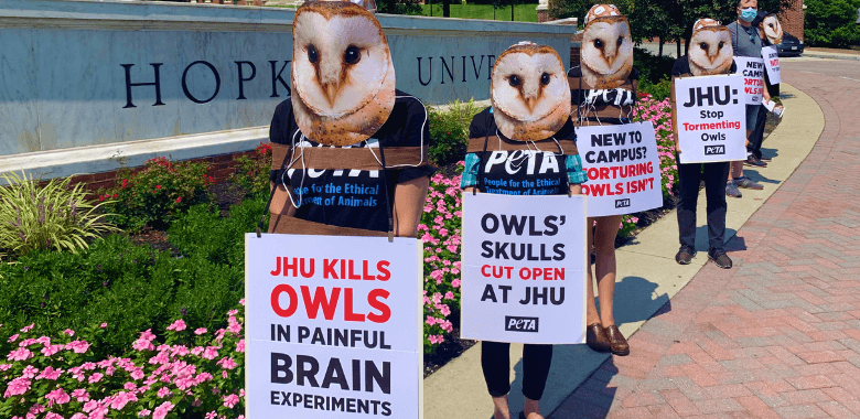 PETA Protesters at Johns Hopkins University freshman orientation