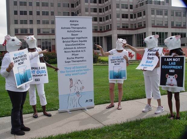 https://headlines.peta.org/wp-content/uploads/2021/10/peta-mice-eli-lilly-forced-swim-tests-protest.jpg