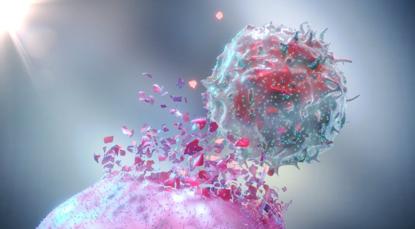 The war on cancer: A 3D Rendering of a Natural Killer Cell (NK Cell) destroying a cancer cell.