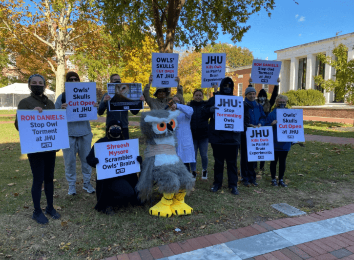 protest at johns hopkins university over owl experiments