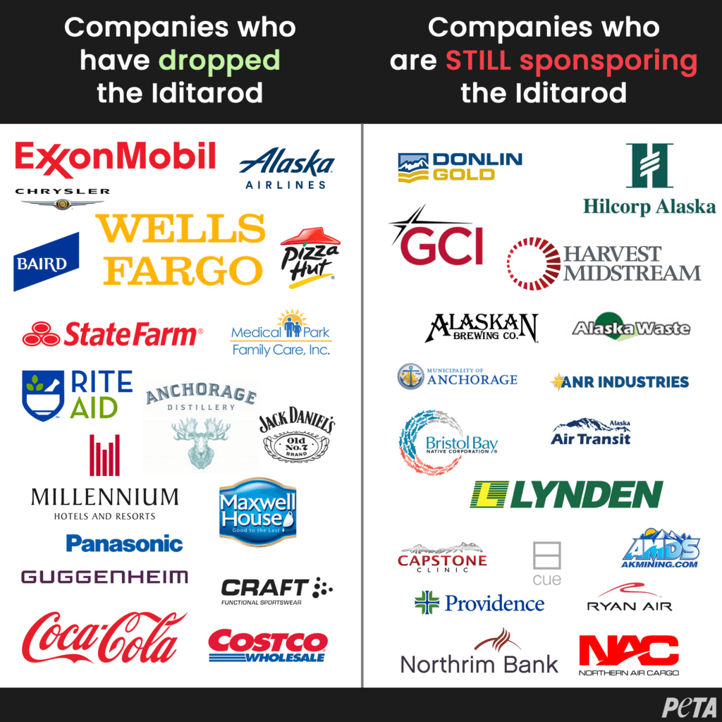 Companies who stopped sponsoring the Iditarod and those who still are.