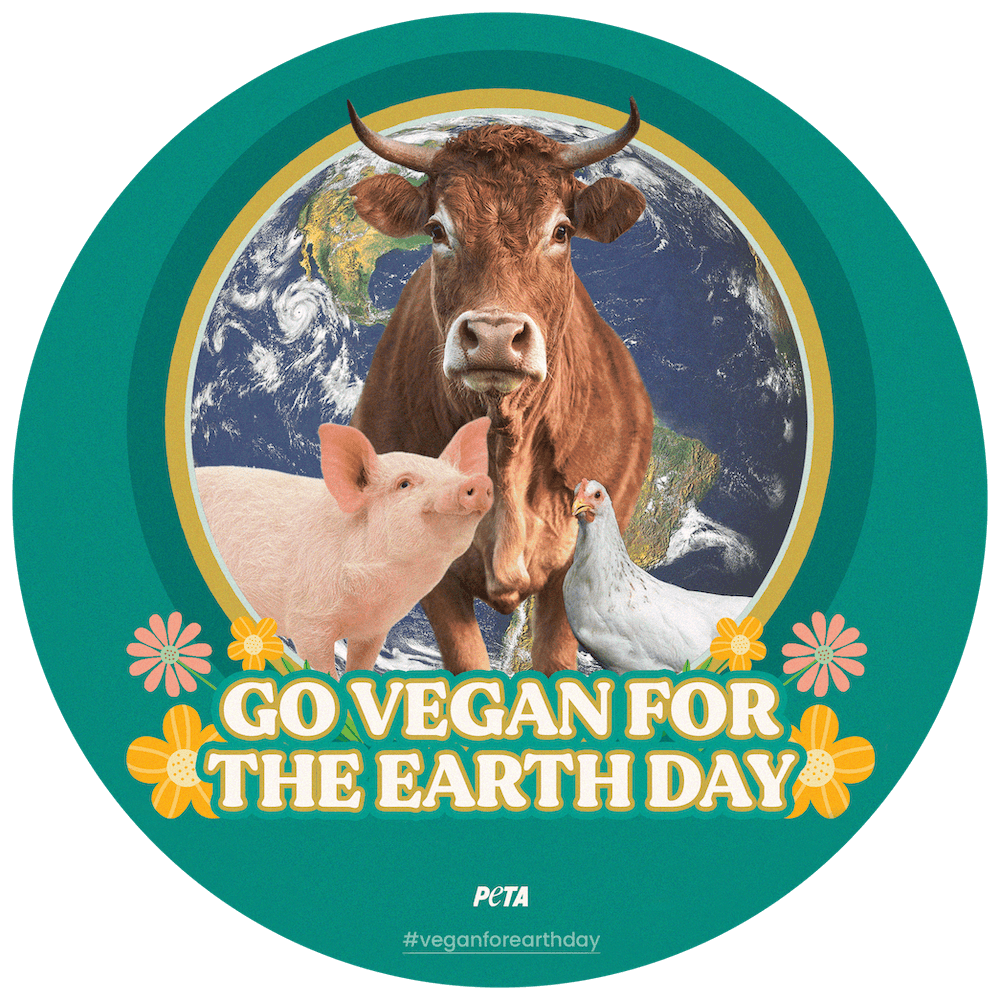 Vegan for the environment / planet