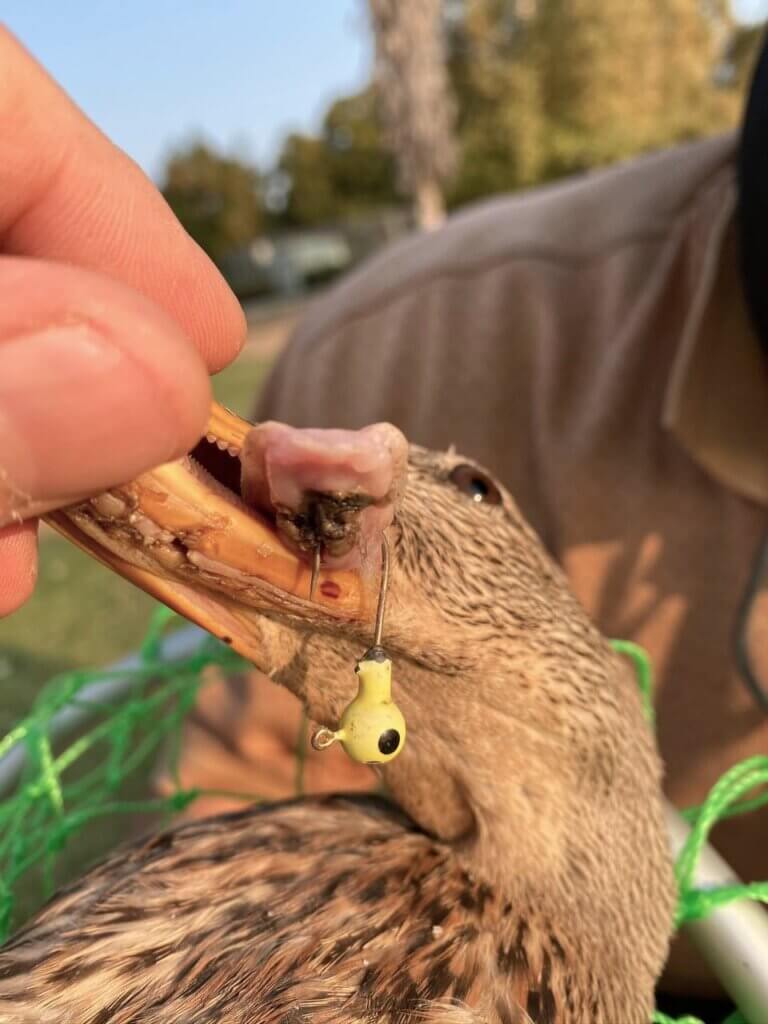 What Is 'Trash Fishing'? A Kind Hobby Catches On