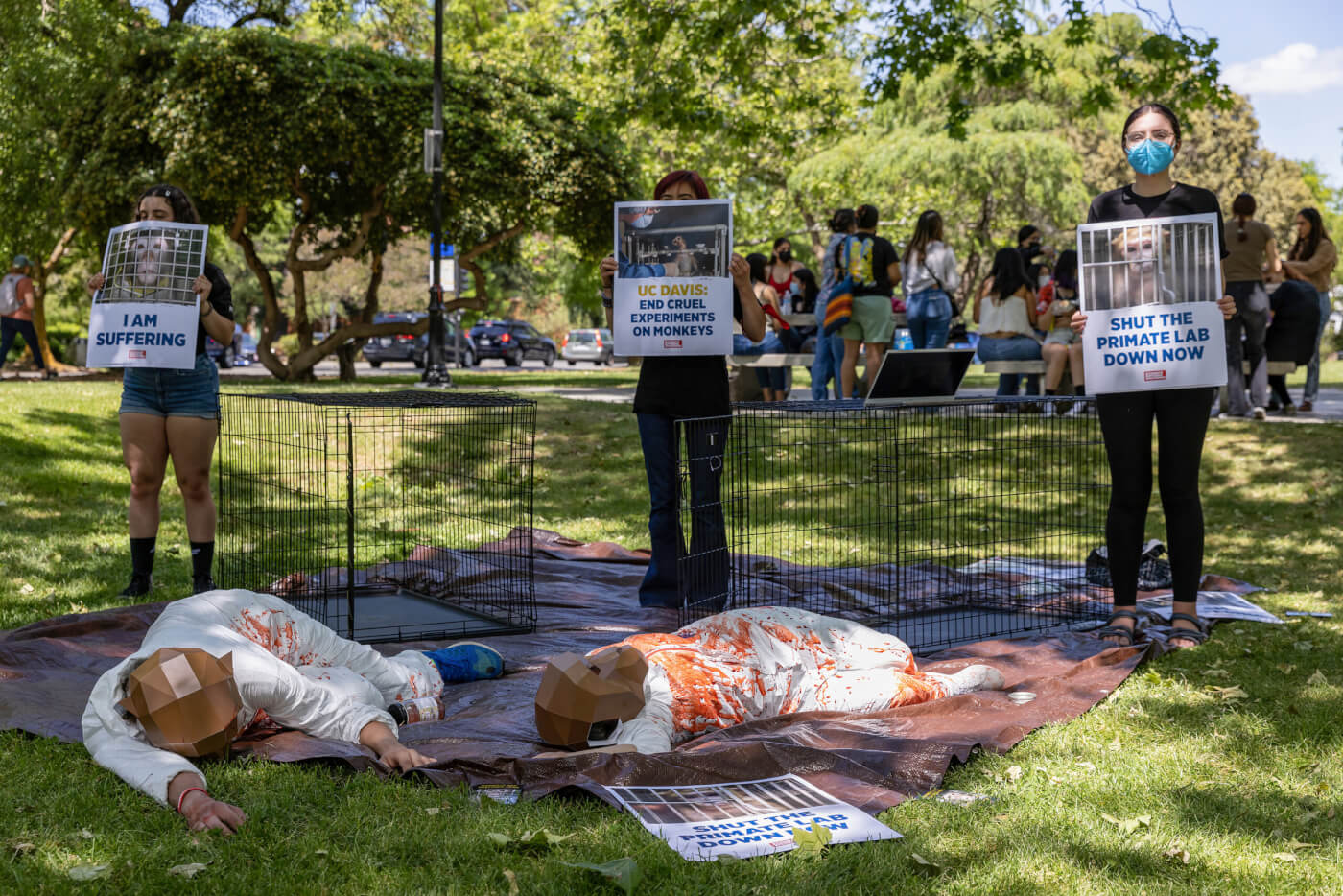 UCDavis Students Working Overtime to Shutter Primate Center PETA