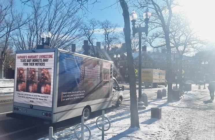 https://headlines.peta.org/wp-content/uploads/2022/12/peta-mobile-billboard-harvard-square.jpg