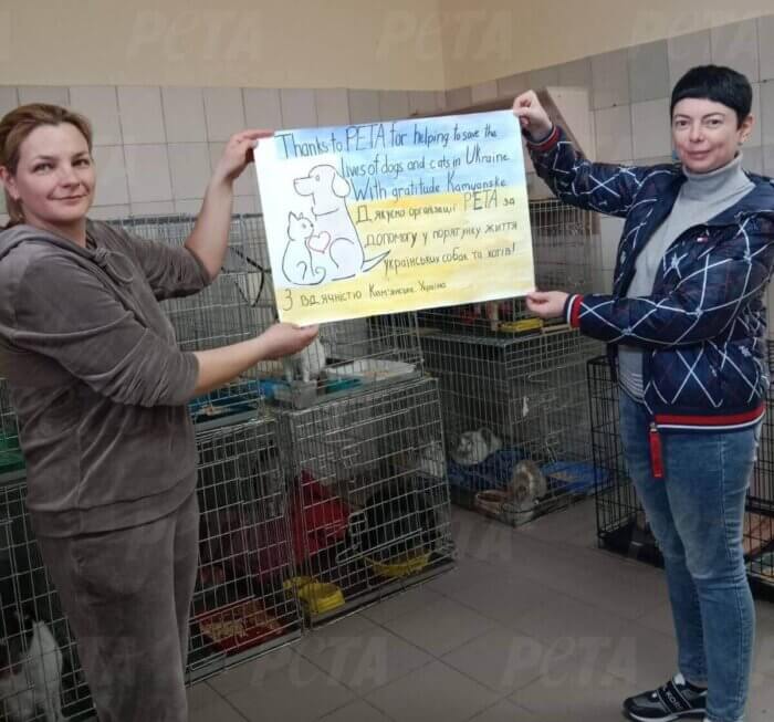 PETA Germany Delivered foor to Kamiankse and saved animals in small shelter pattern PETA Germany Saves Lives in Ukraine