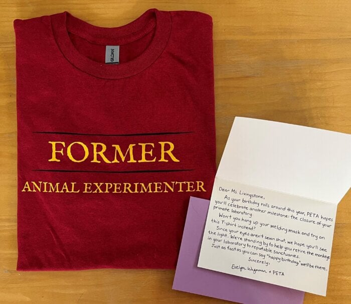 Photo of a folded red t-shirt with printed letters that read "Former Animal Experimenter". There is a letter next to the shirt that reads: "Dear Ms. Livingstone, As your birthday rolls around this year, PETA hopes you'll celebrate another milestone: the closure of your primate laboratory. Won't you hang up your welding mask and try on this T-shirt instead? Since your eyes aren't sewn shut, we hope you'll see the light. We're standing by to help you retire the monkeys in your laboratory to reputable sanctuaries. Just as fast as you can say "happy birthday" we'll be there. Sincerely, Evelyn Wagaman and PETA"