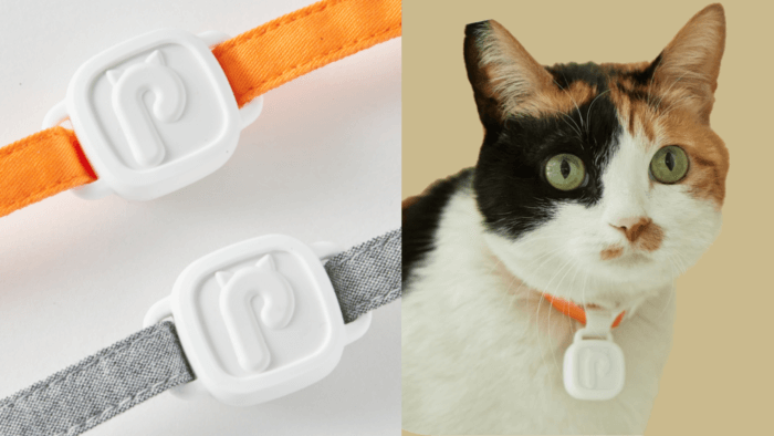 Purrsong's LavvieTag smart watch for cats