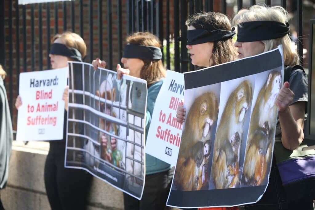 Photo of demonstrators with blindfolds on, all holding photos of monkeys in cages and signs reading "Harvard: Blind to Animal Suffering"