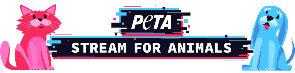 Stream for animals banner