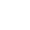 The Bunny Raiders video game logo