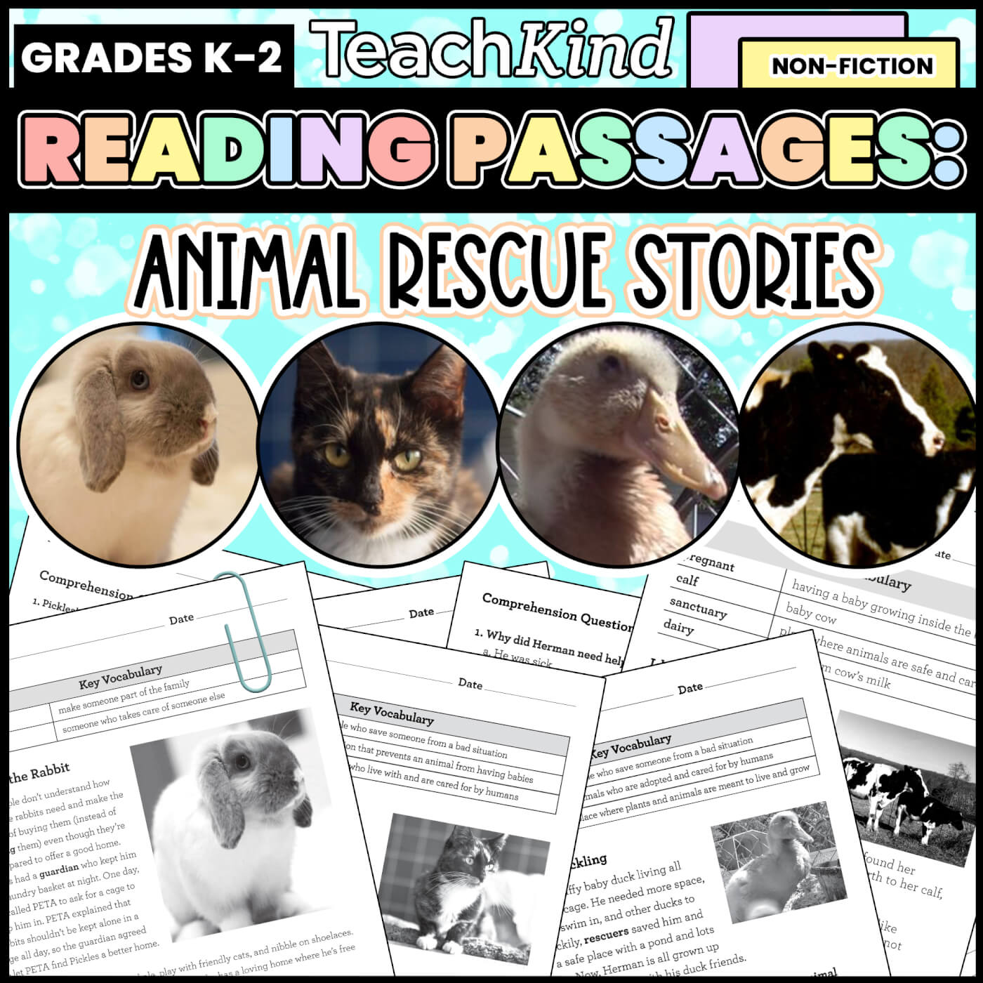 TeachKind s Animal Rescue Stories PETA Headlines