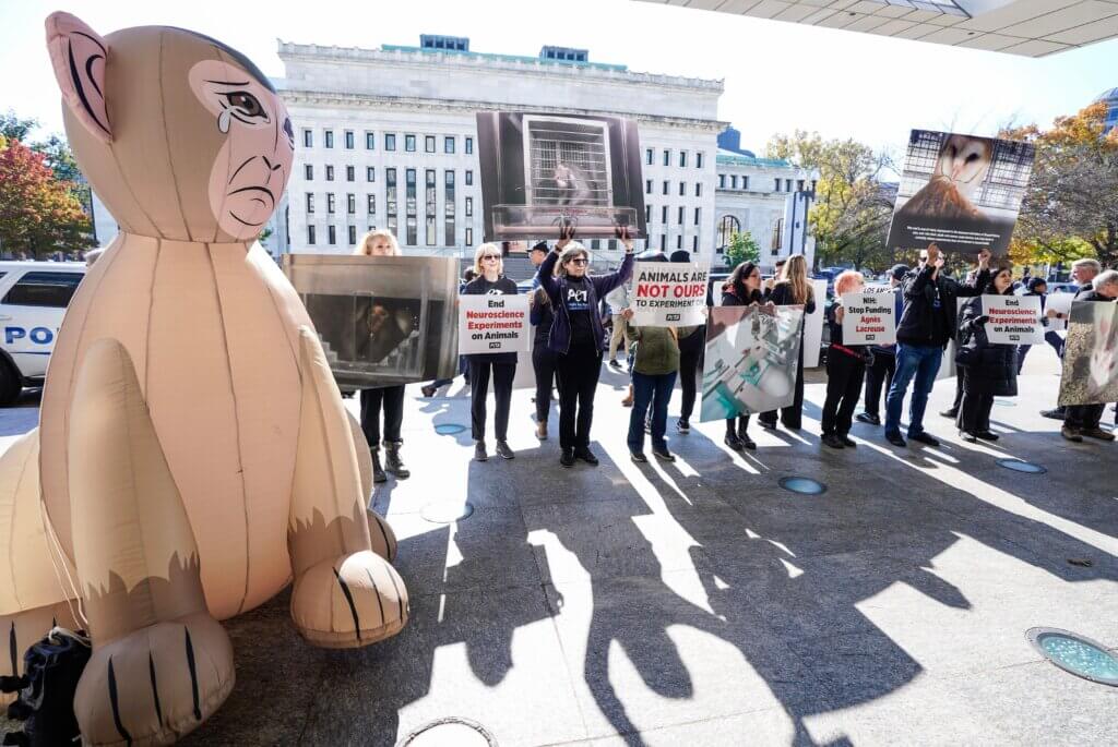 Demonstrators with signs and an inflatable monkey