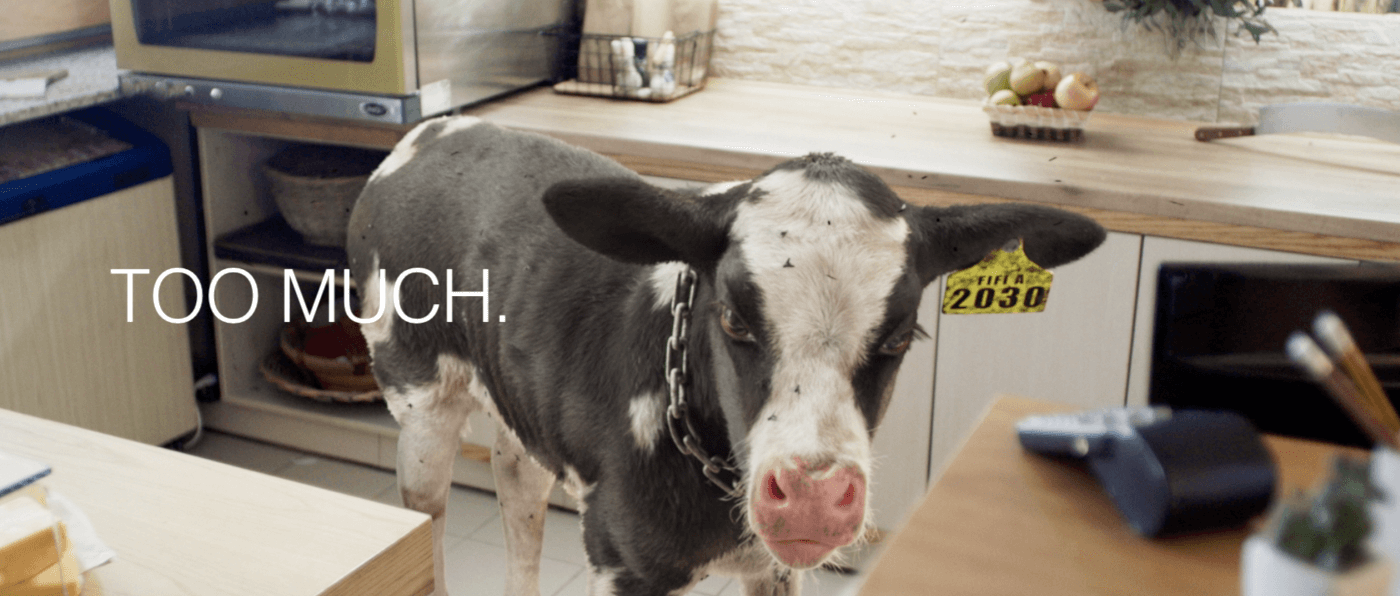 Is Your Black Friday Buying groceries Spree Costing Animals?