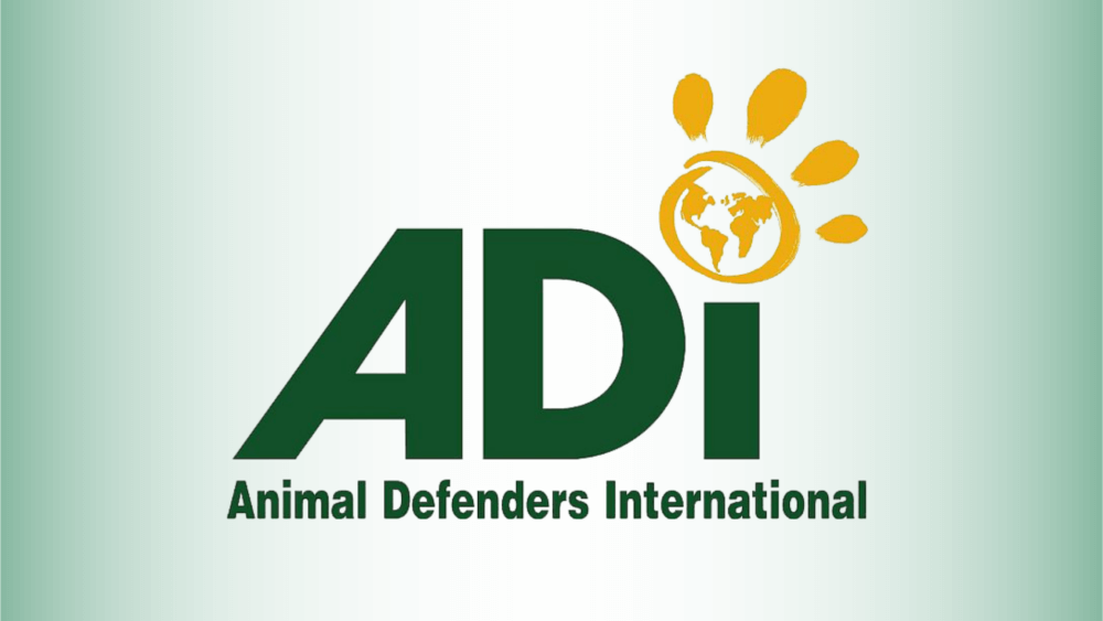 animal defenders international logo