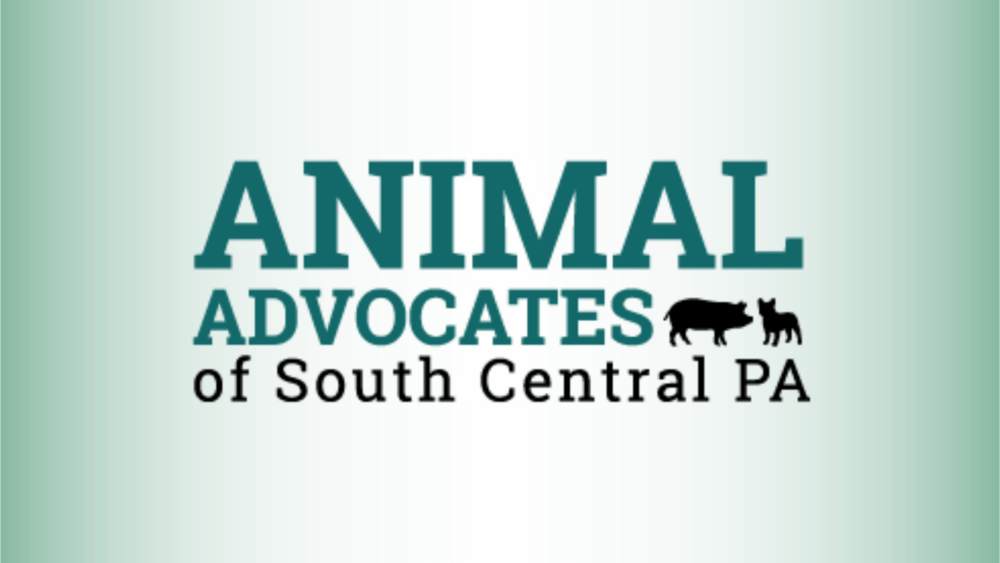 animal advocates of south central pa