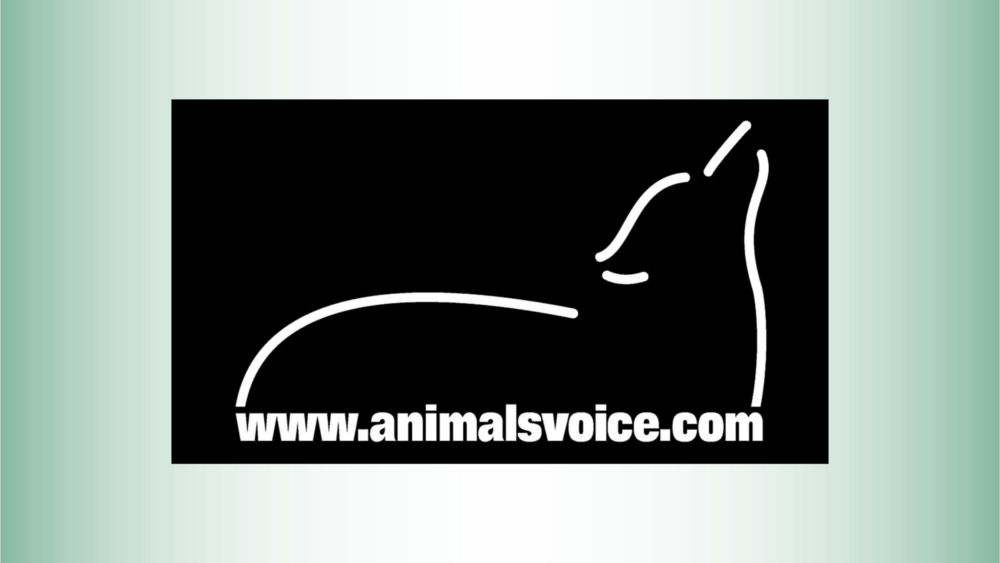 animals-voice-logo