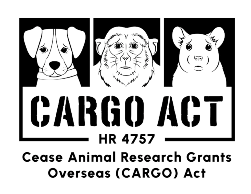 Transparent cargo act logo
