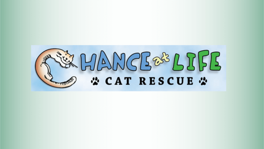 chance at life cat rescue logo
