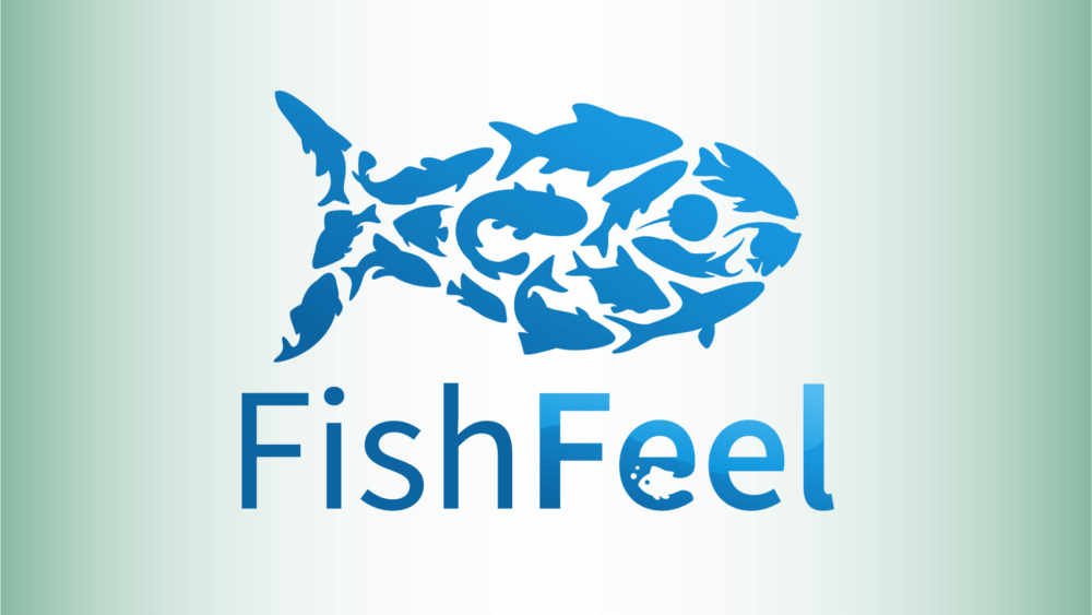 Fish feel logo