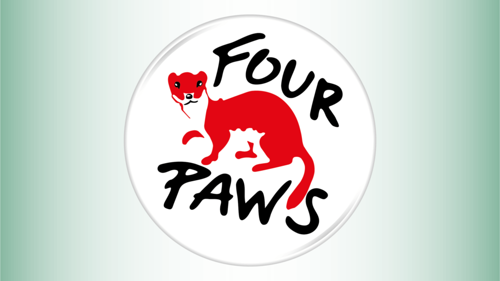 Four paws logo