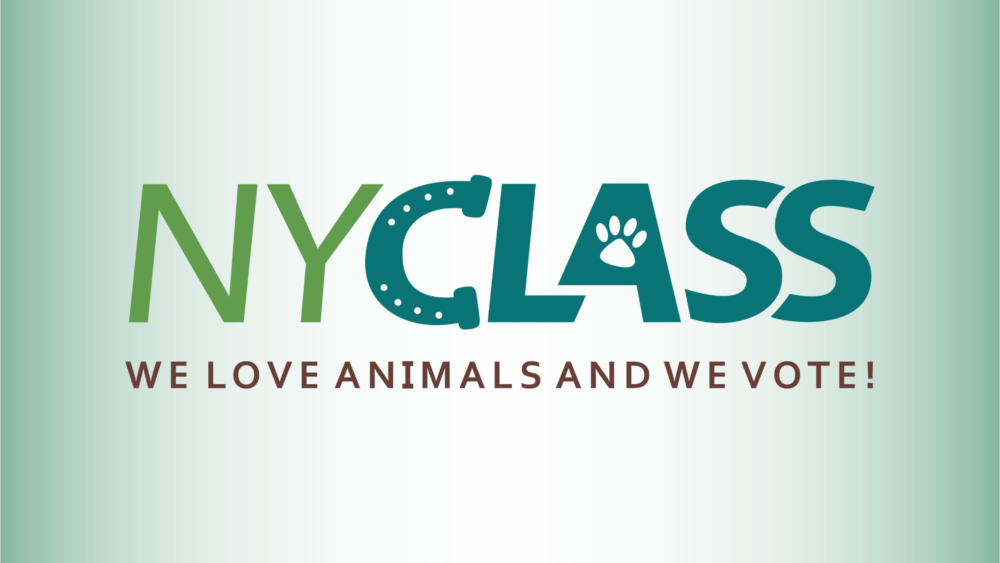 NY class logo