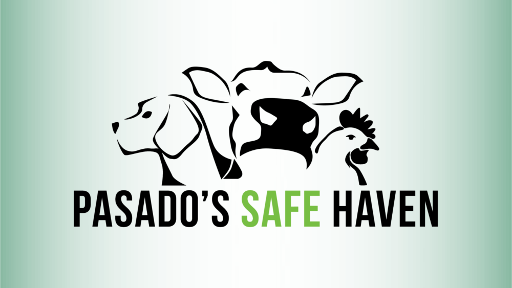 Pasado's safe haven logo