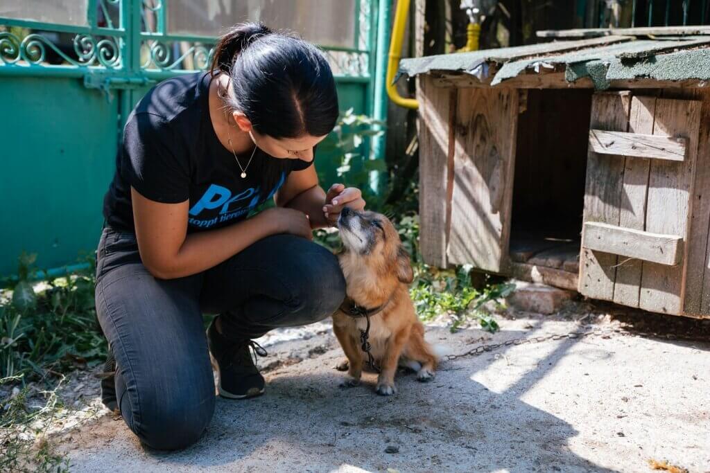 PETA worker in the field in Romania with a small dog