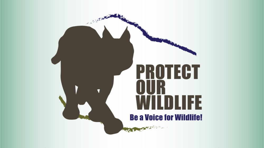 protect our wildlife logo
