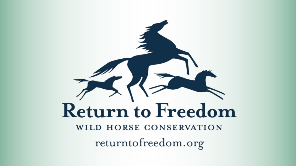 Return to freedom logo