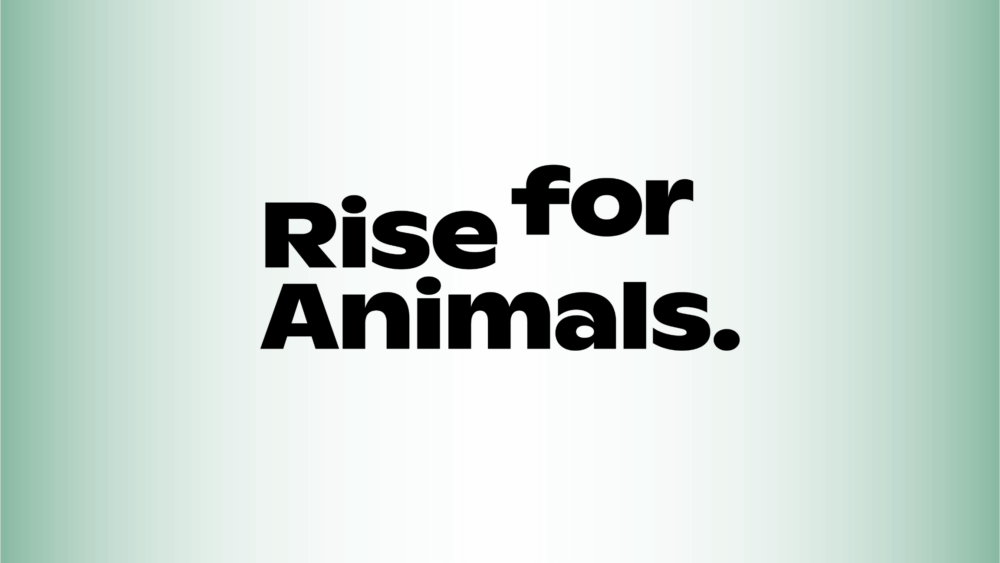 rise for animals logo